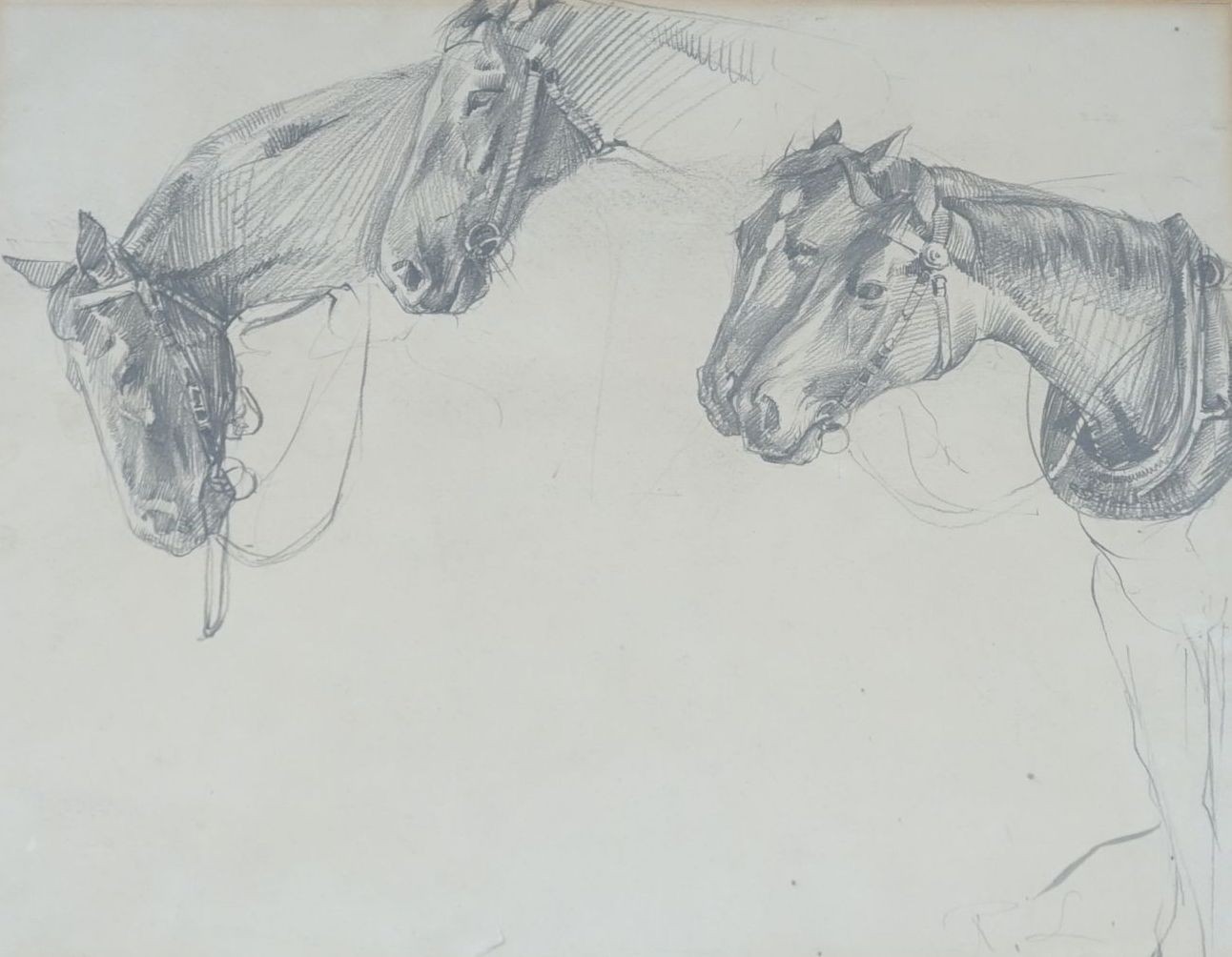 Robert Lillie (1867-1949), pencil drawing, Sketch of horses, 23 x 30cm